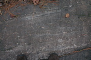 IMG_8036.JPG