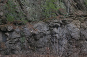 IMG_8048.JPG