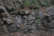 IMG_8050.JPG
