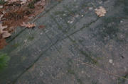 IMG_8037.JPG