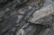 IMG_8063.JPG
