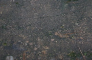 IMG_8040.JPG