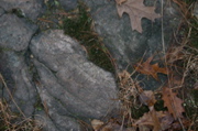 IMG_8044.JPG