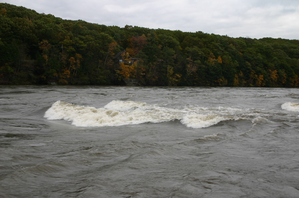 IMG_7374.JPG
