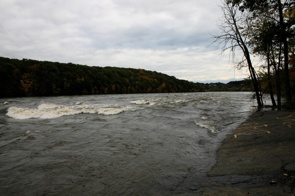 IMG_7377.JPG