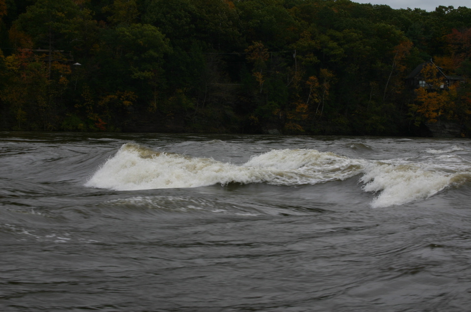 IMG_7379.JPG