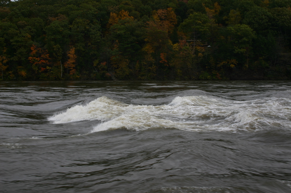 IMG_7381.JPG