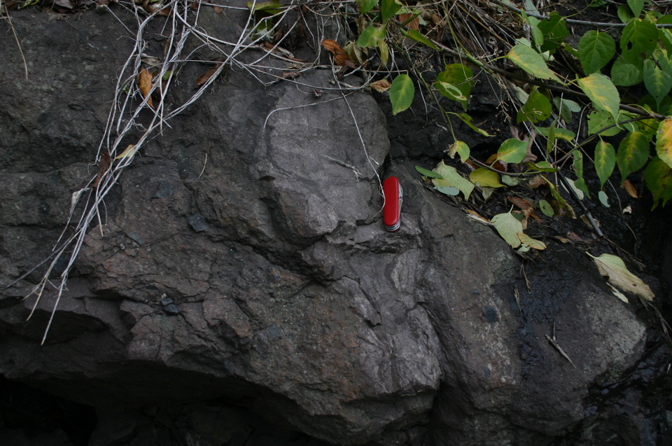 IMG_7384.JPG