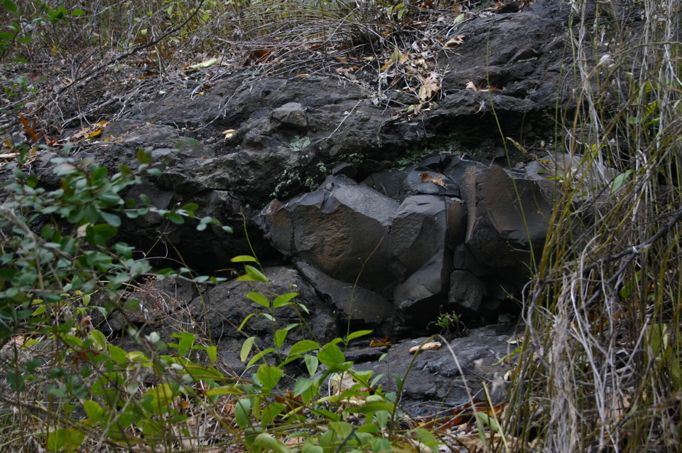 IMG_7387.JPG