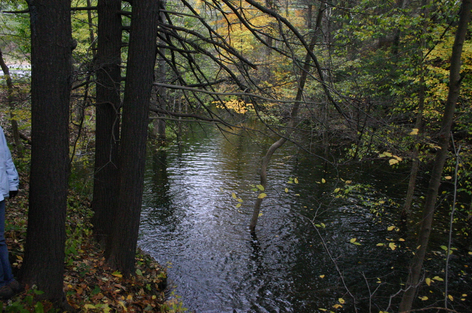 IMG_7390.JPG