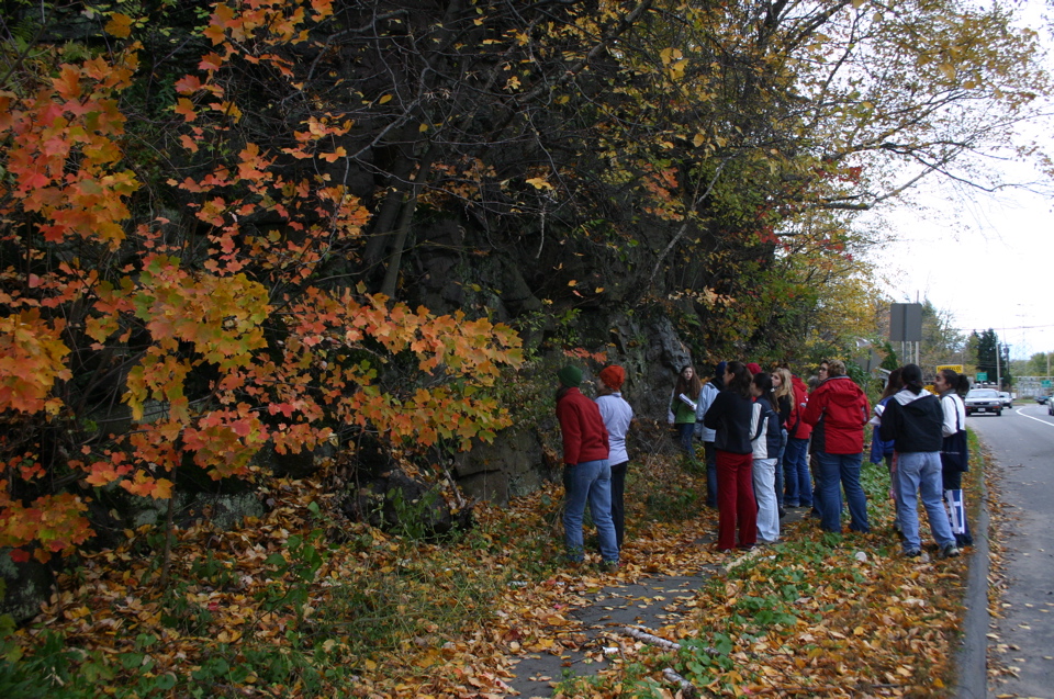 IMG_7407.JPG