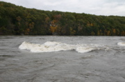 IMG_7374.JPG