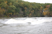 IMG_7378.JPG