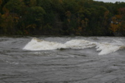 IMG_7379.JPG