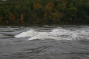 IMG_7381.JPG