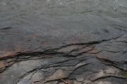 IMG_7383.JPG
