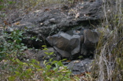 IMG_7387.JPG