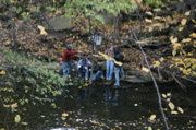 IMG_7389.JPG
