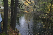 IMG_7390.JPG