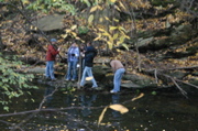 IMG_7392.JPG