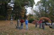 IMG_7399.JPG