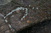 IMG_7405.JPG