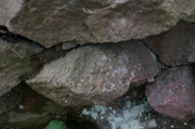 IMG_7406.JPG