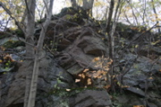IMG_7410.JPG