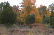 IMG_7361.JPG