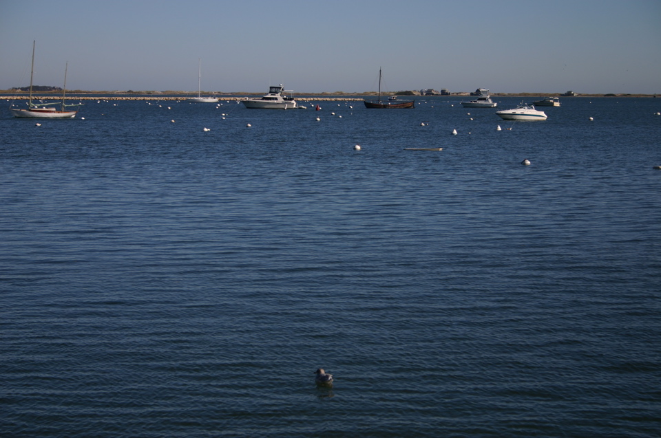 IMG_7540.JPG