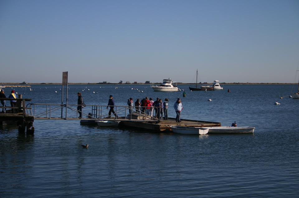 IMG_7542.JPG