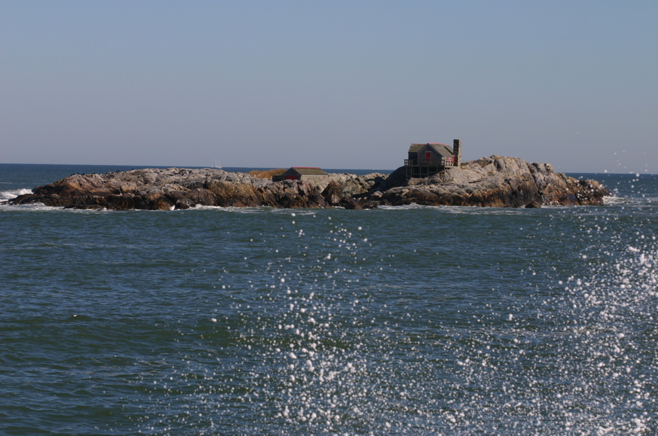IMG_7563.JPG