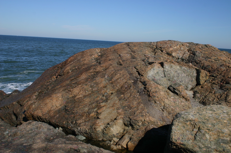IMG_7585.JPG