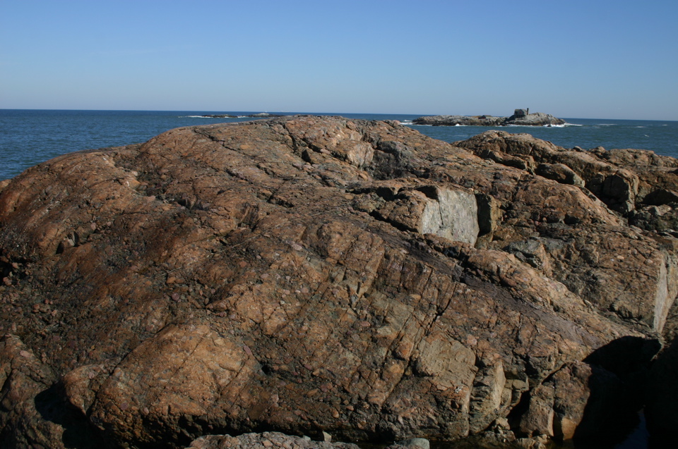 IMG_7586.JPG