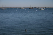 IMG_7540.JPG