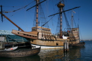 IMG_7545.JPG