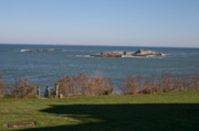 IMG_7552.JPG