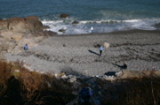 IMG_7554.JPG