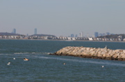 IMG_7561.JPG