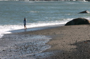 IMG_7575.JPG