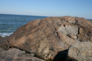 IMG_7585.JPG