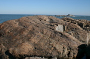 IMG_7586.JPG