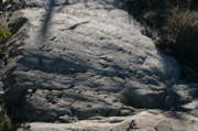IMG_7590.JPG
