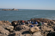 IMG_7591.JPG