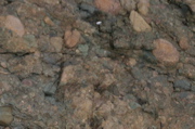 IMG_7596.JPG