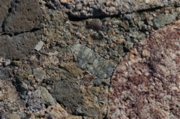 IMG_7599.JPG