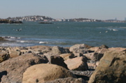 IMG_7605.JPG