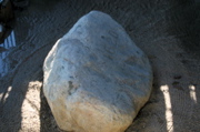 IMG_7537.JPG