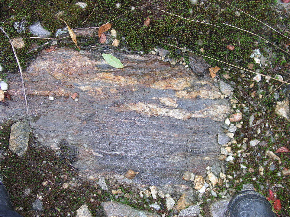 P1010011.JPG