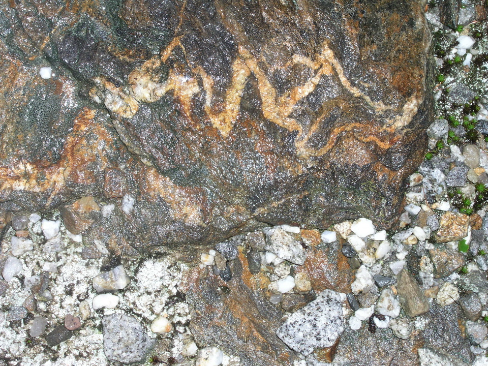 P1010014.JPG